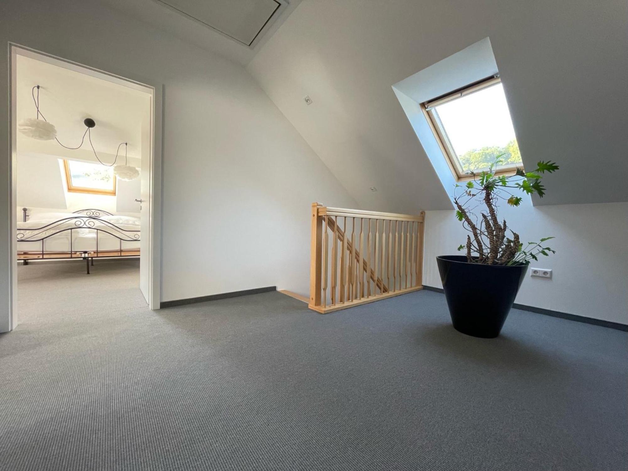 Stilvolle Wohnung Fuer 2-3 Personen - Mit Riesiger Dachterrasse Haigerloch Buitenkant foto