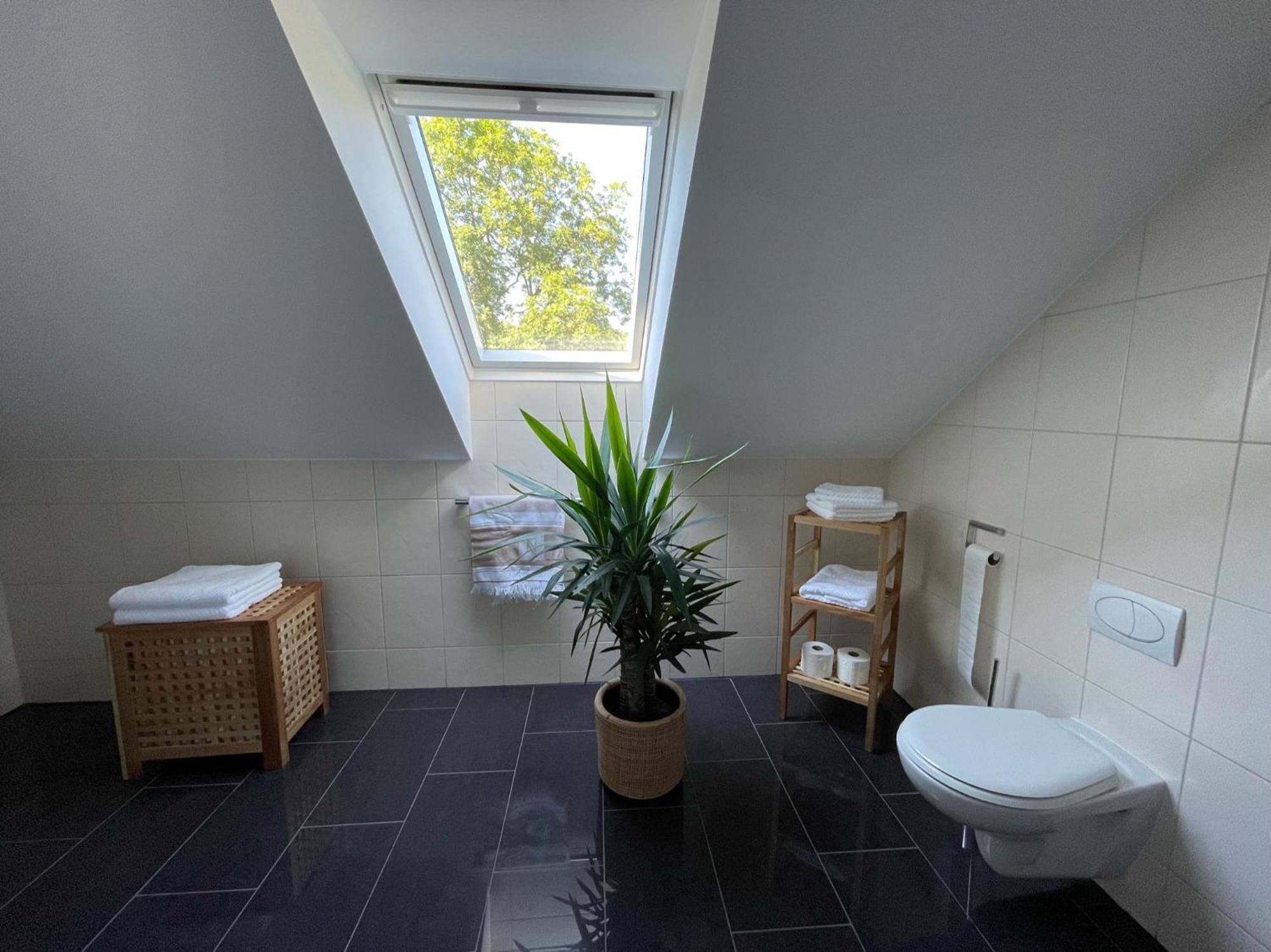 Stilvolle Wohnung Fuer 2-3 Personen - Mit Riesiger Dachterrasse Haigerloch Buitenkant foto